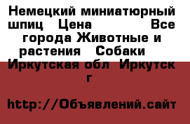 Немецкий миниатюрный шпиц › Цена ­ 60 000 - Все города Животные и растения » Собаки   . Иркутская обл.,Иркутск г.